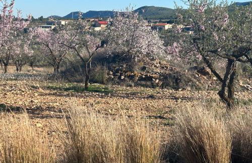Casa Miranda - Foto 5
