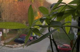 NEU! OASIS - FeWo am Harz, hochwertig Kernsaniert, 83 qm, EG - Foto 28