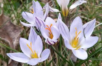 Agriturismo Ai Progni - Foto 14