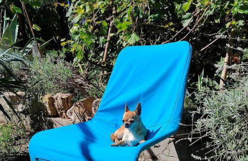 Villa AMore Radini with a private heated saltwater pool and private parking - Foto 52