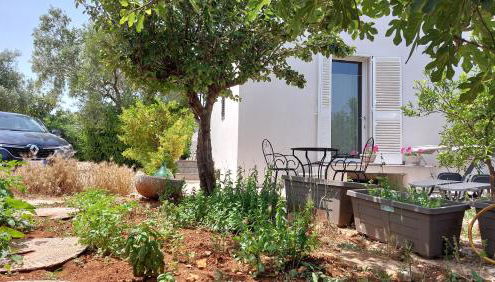 All'ombra dell'ulivo - Foto 2, Garden, Garden view