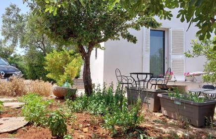 All'ombra dell'ulivo - Foto 2