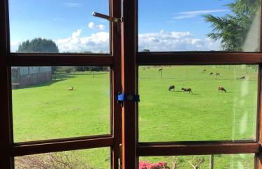 Cosy cottage with stunning views - Foto 23