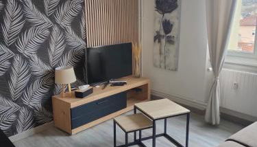 L'Europ'appart - Cosy - Gare - Center parcs -St Croix - Foto 2