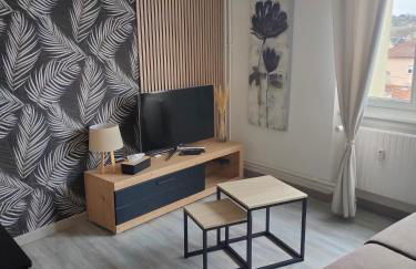 L'Europ'appart - Cosy - Gare - Center parcs -St Croix - Foto 2