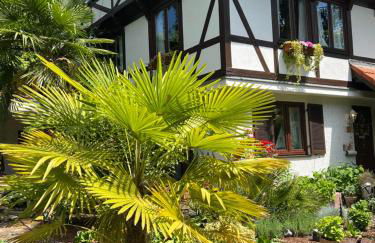 Einliegerwohnung in einer Mühle vor den Toren Frankfurts, ideal für Messegäste oder Stop Over - Foto 15