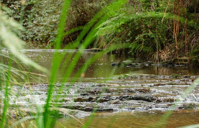 Valley Farm Vineyard Cottages - Foto 66