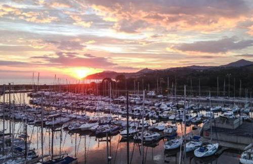 Belle villa avec piscine vue montagne à 10 mn de la mer à Argeles - Foto 52