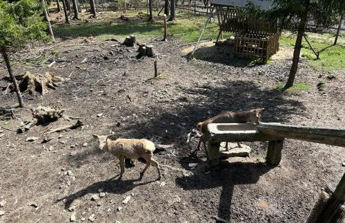 Ferienwohnung im Fichtelgebirge - nahe der Skipiste mit Balkon & Free Parking - Foto 26