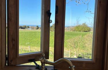 Fernlea Luxury Shepherds Hut & Hot Tub - Foto 7