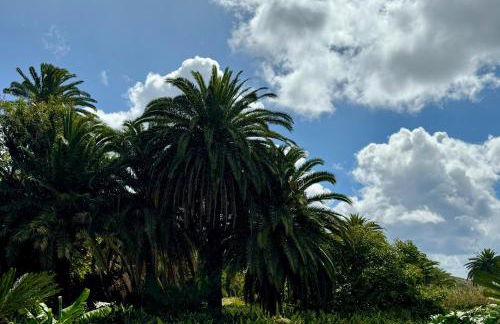 Finca La Principal - Foto 37