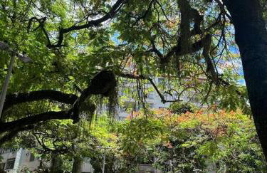 K Fofo - Aconchego no Centro - Foto 22