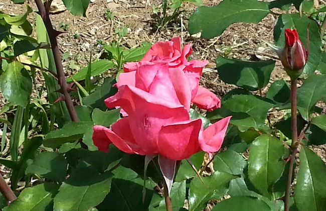 Casas da Moagem Turismo Rural - Photo 60