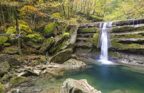 Agriturismo al Monte - Foto 6