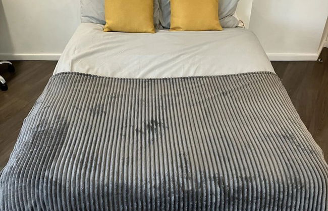 Laycock Studios - Photo 7