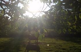 Übernachten in unseren Crutpracht Gästezimmern mit großem Bauernfrühstück, ab April 24 auch in der DUFFEL-SCHEUNE - Foto 42