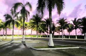 MSFlats Paripueira praia varanda c rede cozinha Wifi Ar split - Foto 67