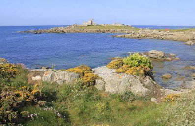 Appartement Guillaume vue mer - Foto 28