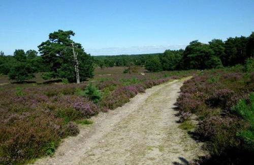 Holiday Home Hirtenkate Apartment 2 - Foto 17