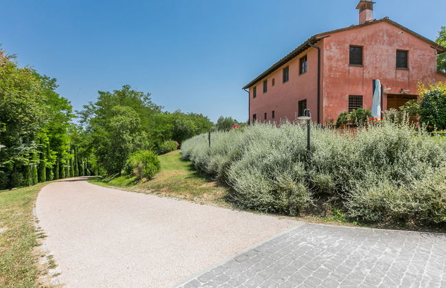 Francigena - Foto 50