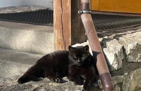 Agroturystyka Dom Wśród Sosen - Foto 46