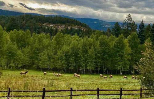 Secluded Mtn home by Purg, Hot Tub, Views! Pets ok - Foto 54