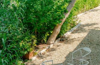 Tenuta Alela - Photo 11