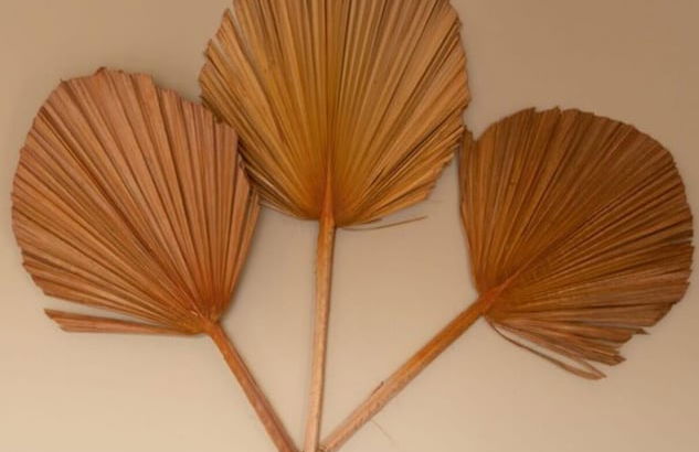 Xuru Stays I The Great Pyramid Duo 2bdr Stunning Stays! - Foto 45