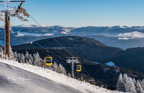 Fewo Schwarzwaldliebe, Todtnau - Foto 18