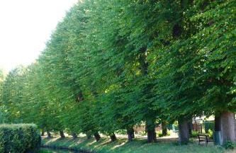 FeWo Elbdeichliebe - Photo 33