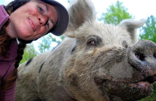 DO NOT Book property sold requested removal multiple times without luck Shenandoah NP Old Rag and White Oak Canyon - Foto 25