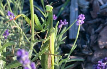 Słoneczna Przystań - Foto 52