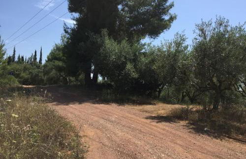 Vounaki Seaside Dreamland! - Foto 51