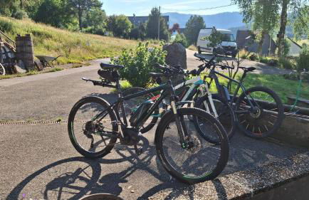 Ferienhof Ziegler- Sonnenschein - Foto 33