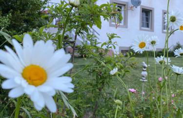 An der Walnuss - Foto 19