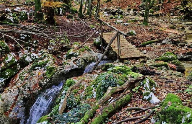 Villa in Lupoglav With Pool Near the Sea - Foto 34