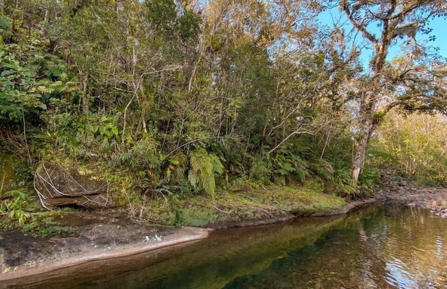 Tiny House Garden - Praia Grande - SC - Foto 74