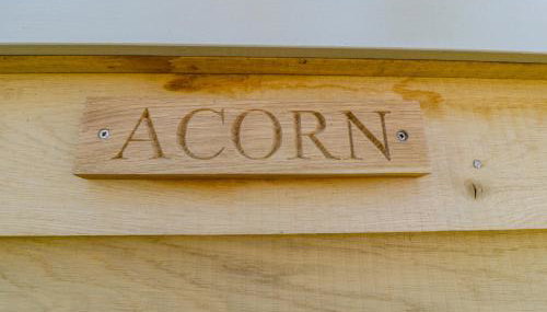 Acorn - Photo 3