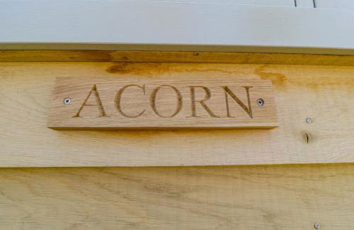 Acorn - Foto 3