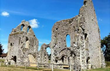 Cosy cottage with vineyard view near Goodwood Chichester - Photo 23