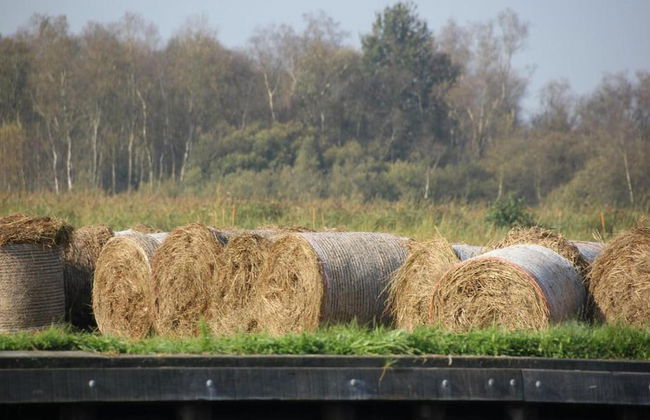 Villa by Weerribben Park - Foto 21