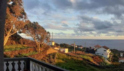 Adega do Golfinho - Photo 3