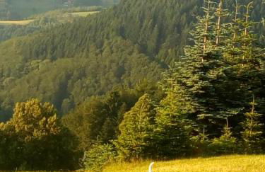 Haus Wander-Lust - Foto 41