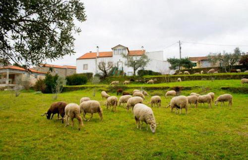 Rustic Terrace2 Bedrooms Farm House - Foto 52