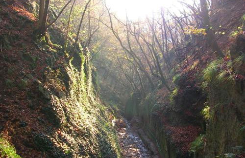 Ferienwohnung Friedland - Foto 26