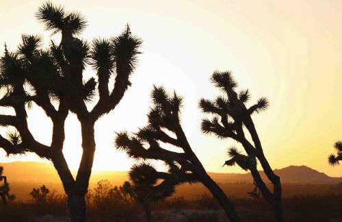 Landers Space Station - Foto 16