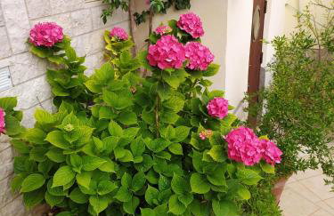 Apartment Bruno - Foto 23