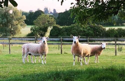 The Chaff House - farm stay apartment set within 135 acres - Foto 33