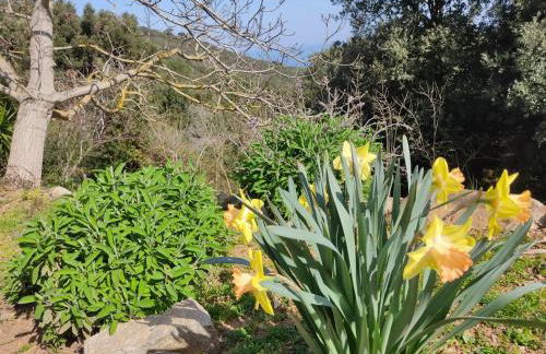 Appartamento nel parco - Foto 51