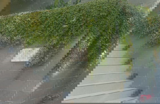 Start Villa Morra Rent Apartments - Photo 75